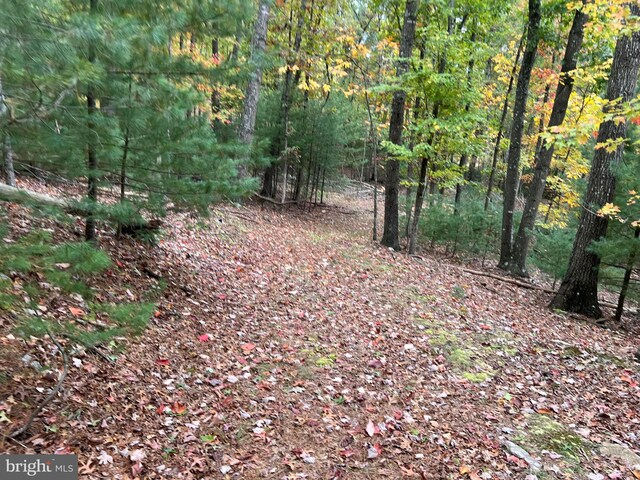 0 Falcon Rd, Mathias, WV 26812