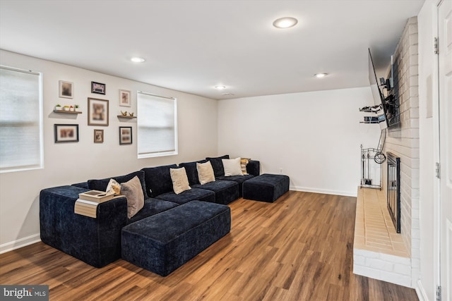 living room with wood-type flooring and plenty of natural light