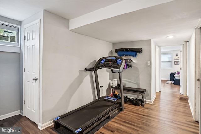 workout area featuring dark hardwood / wood-style flooring