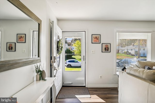 doorway with dark hardwood / wood-style flooring and a wealth of natural light