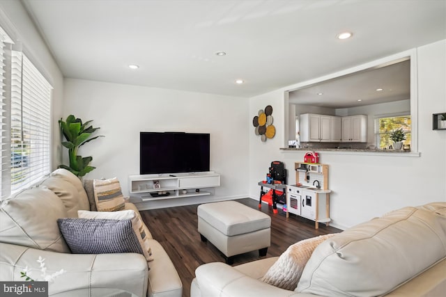 living room with hardwood / wood-style floors and a healthy amount of sunlight