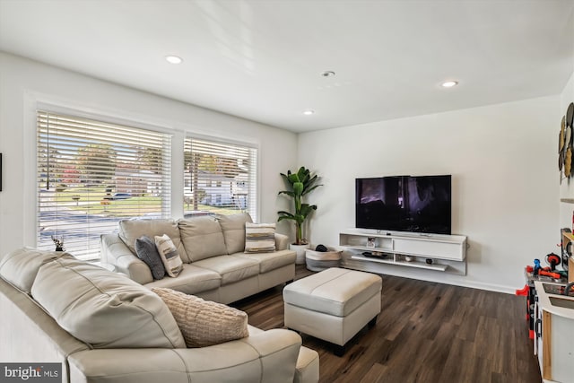 living room featuring dark wood-type flooring