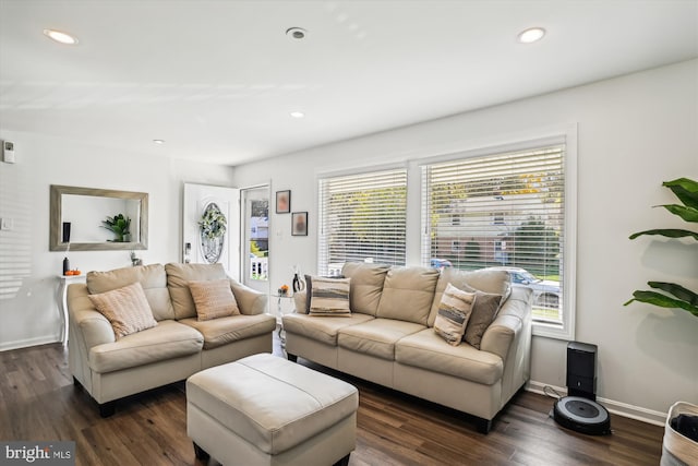 living room featuring dark hardwood / wood-style floors