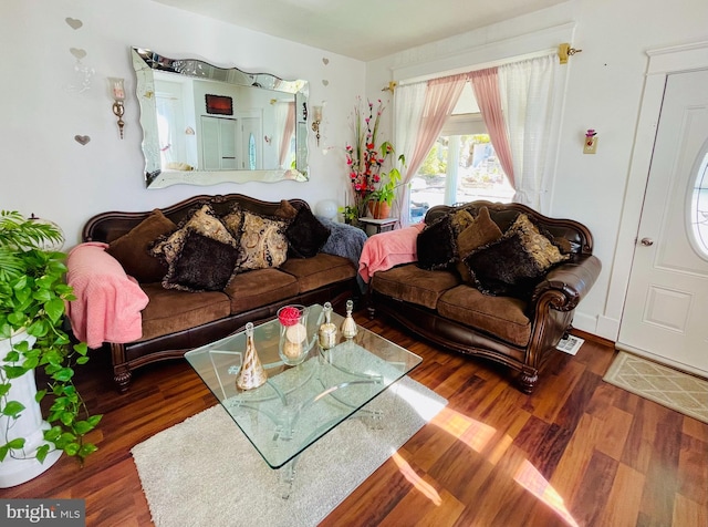 living room with dark wood-type flooring