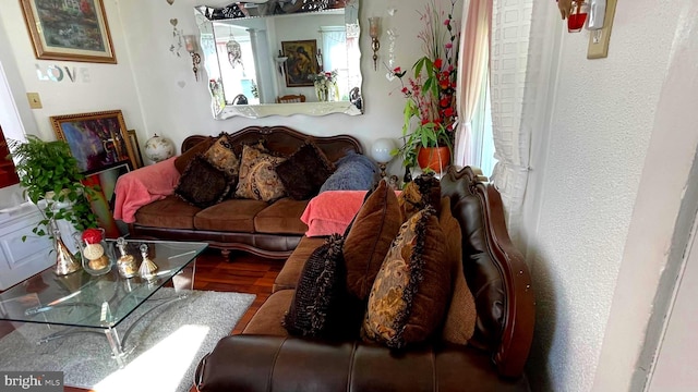 living room featuring hardwood / wood-style floors