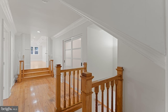 hall featuring ornamental molding and light wood-type flooring