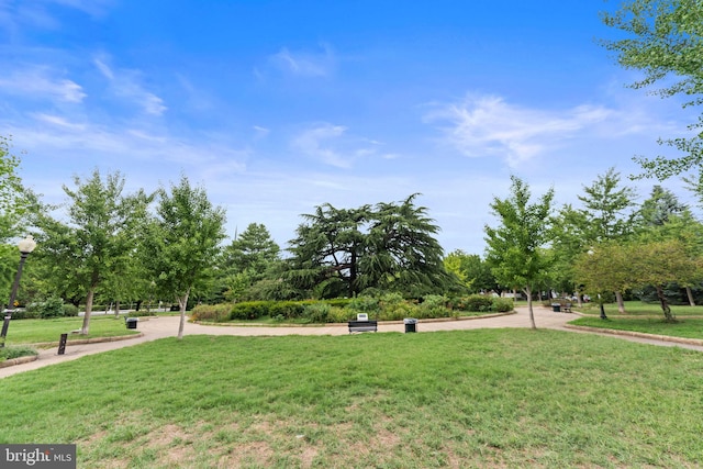 view of home's community with a yard