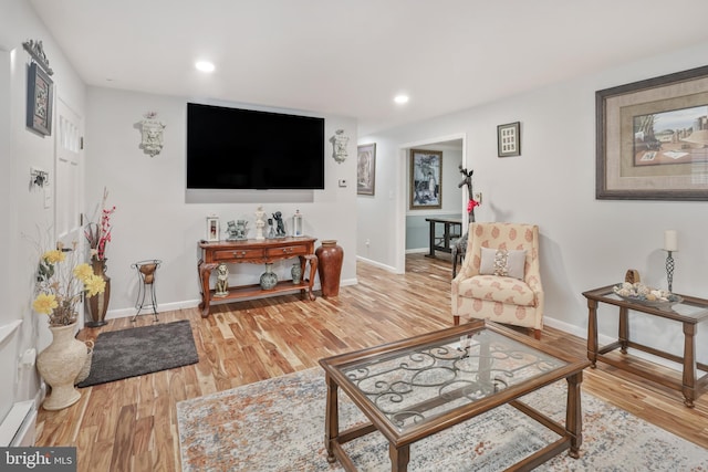 living room featuring hardwood / wood-style floors