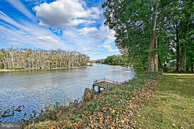 dock area with a water view