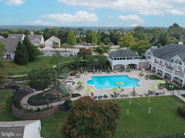 view of swimming pool featuring a patio and a lawn