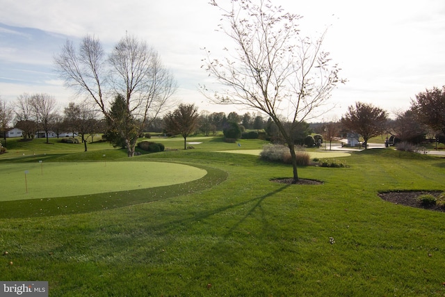 view of home's community featuring a yard