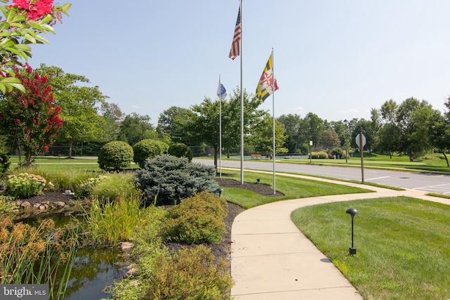 view of community featuring a water view and a lawn