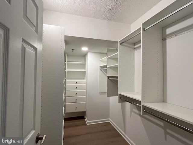 spacious closet featuring dark hardwood / wood-style flooring