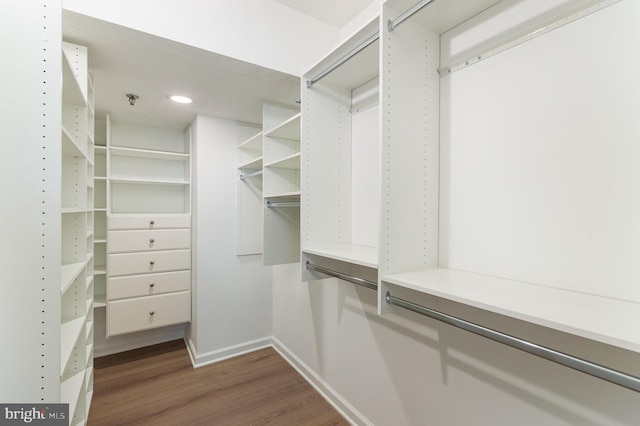 spacious closet featuring dark hardwood / wood-style flooring