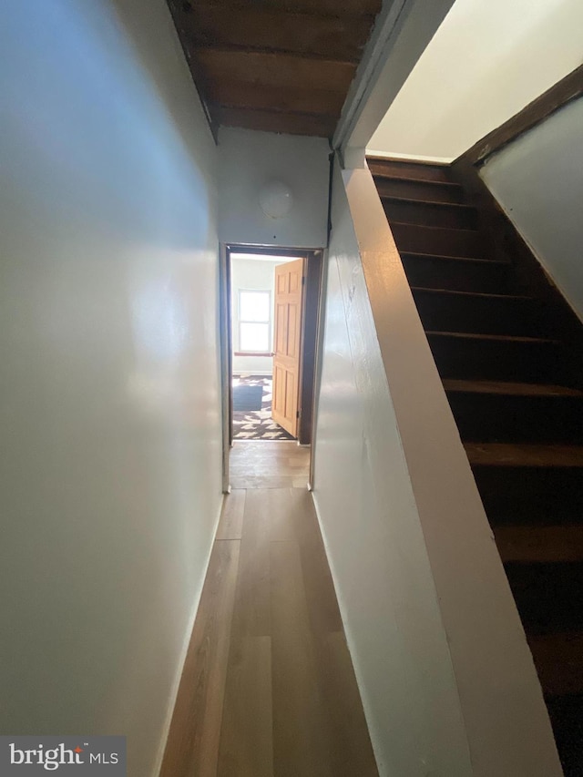 hallway featuring wood-type flooring