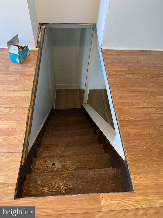 stairway with hardwood / wood-style flooring