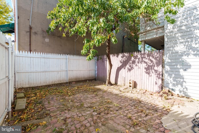 view of yard featuring a patio area