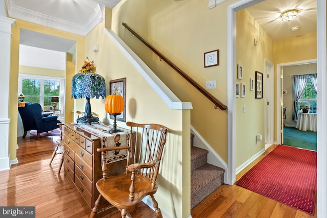 stairs with hardwood / wood-style floors and crown molding