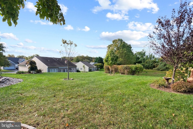 view of yard