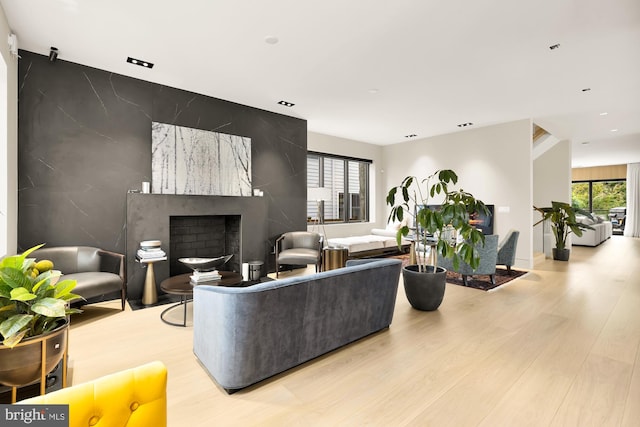 living room with a large fireplace, light hardwood / wood-style floors, and a wealth of natural light