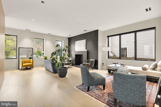 living room featuring light wood-type flooring