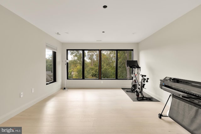 exercise area featuring light hardwood / wood-style flooring