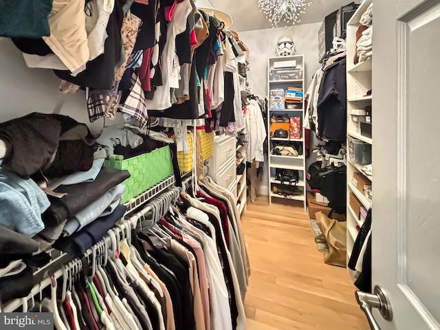 spacious closet featuring a chandelier and hardwood / wood-style floors