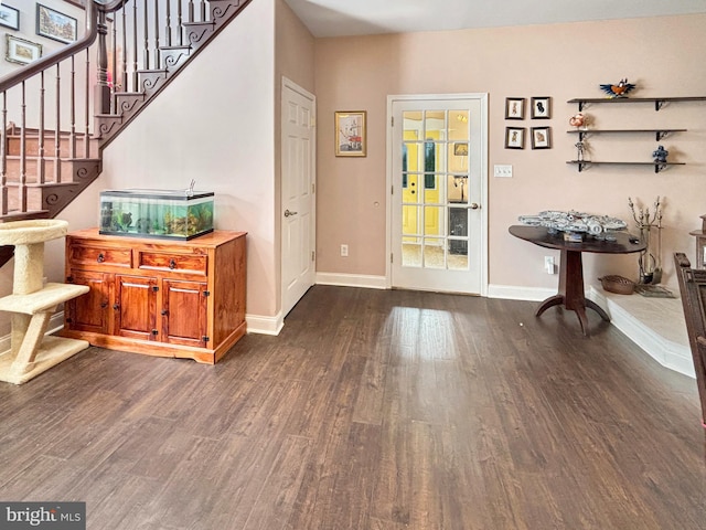 foyer entrance featuring dark hardwood / wood-style floors