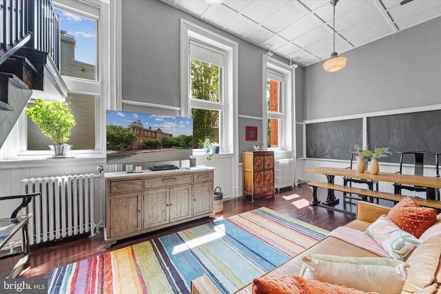 living room with dark hardwood / wood-style floors and radiator