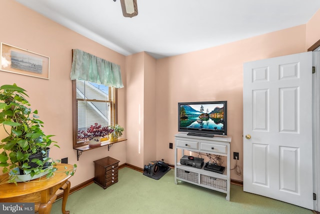 living area with carpet floors