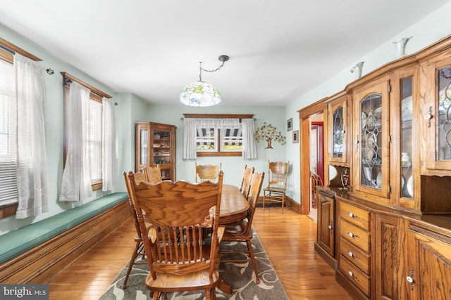 dining room with hardwood / wood-style flooring