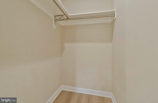 spacious closet with wood-type flooring