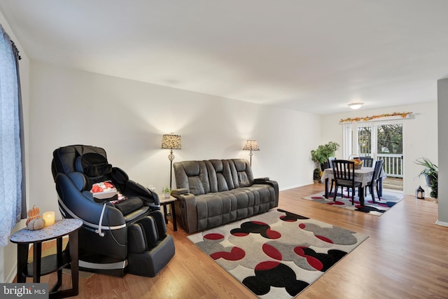 living room featuring wood-type flooring