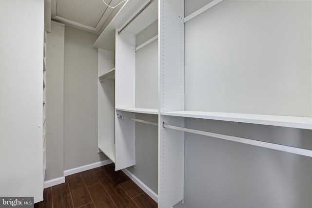 walk in closet with dark hardwood / wood-style flooring