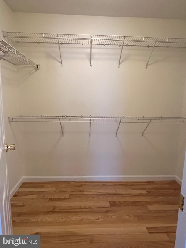 spacious closet with hardwood / wood-style flooring