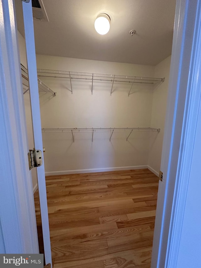 spacious closet featuring wood-type flooring