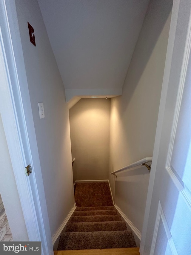 stairway with carpet