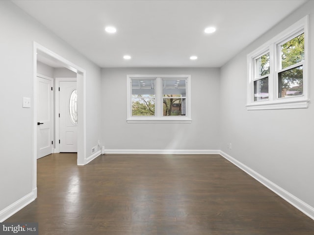 entrance foyer featuring dark wood-type flooring