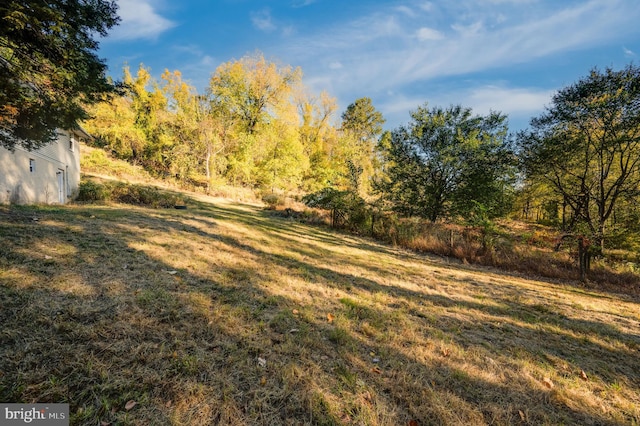 view of yard