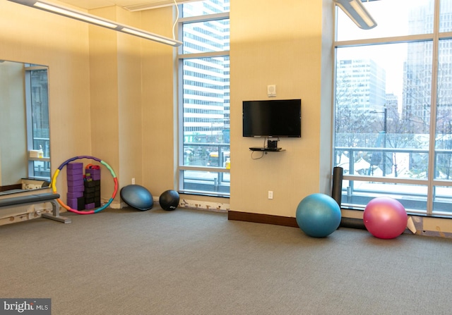 exercise room with carpet