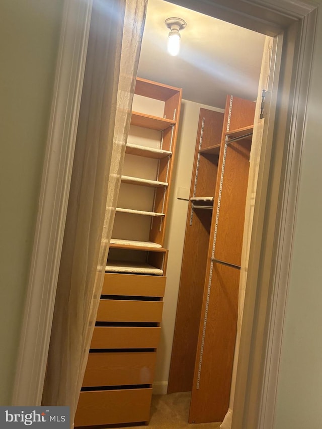 view of closet