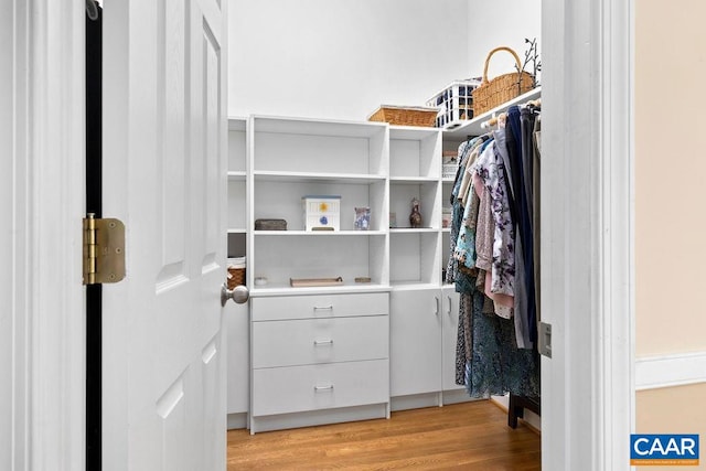 spacious closet featuring light hardwood / wood-style floors