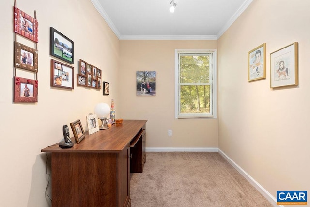 office space featuring crown molding and light colored carpet