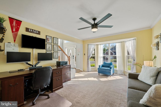 carpeted office space with ornamental molding and ceiling fan