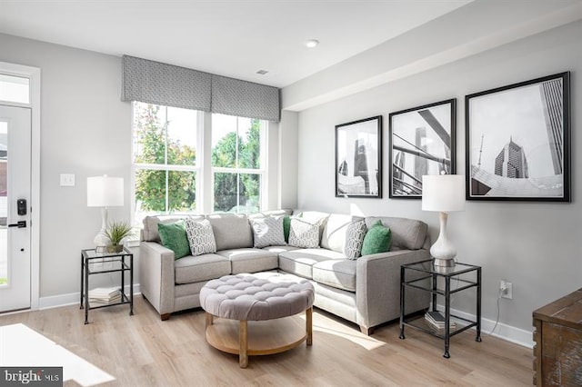 living room featuring light hardwood / wood-style flooring