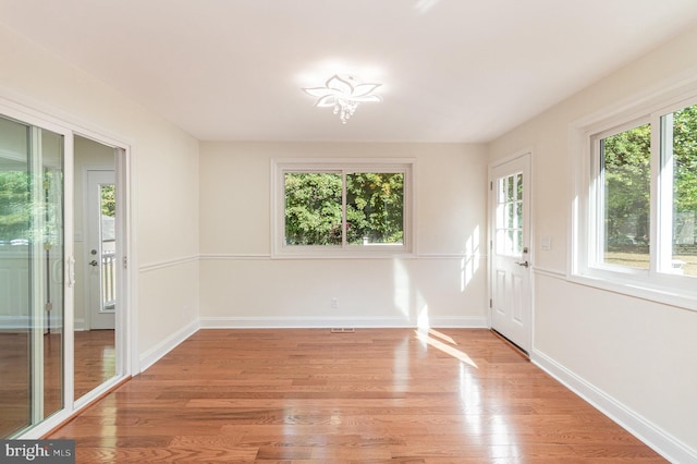 empty room with a wealth of natural light and light hardwood / wood-style flooring