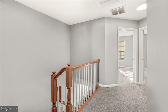 hallway with carpet