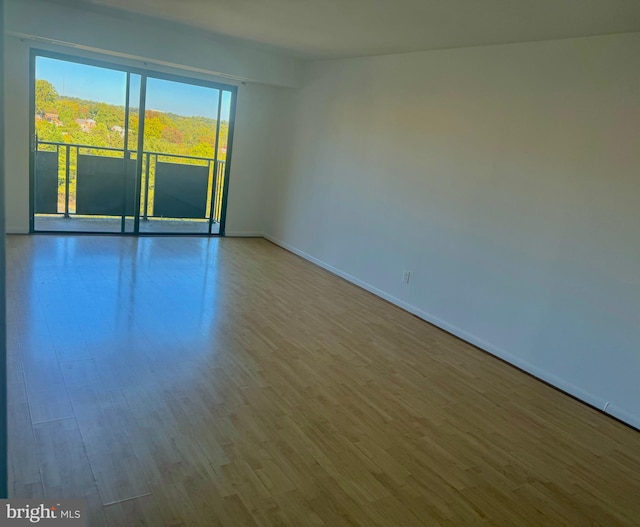 unfurnished room featuring wood-type flooring