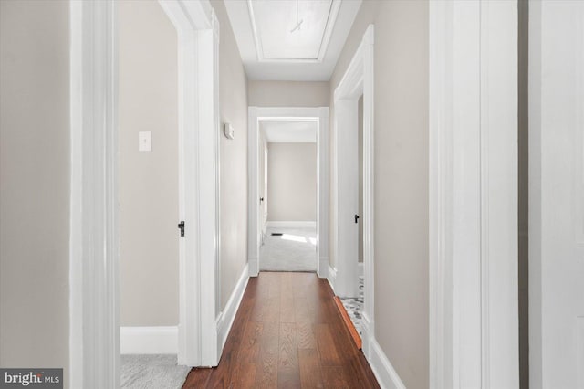 corridor with dark hardwood / wood-style floors