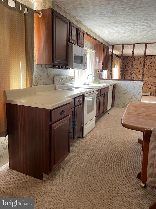 kitchen featuring dark brown cabinetry, sink, light carpet, and white appliances